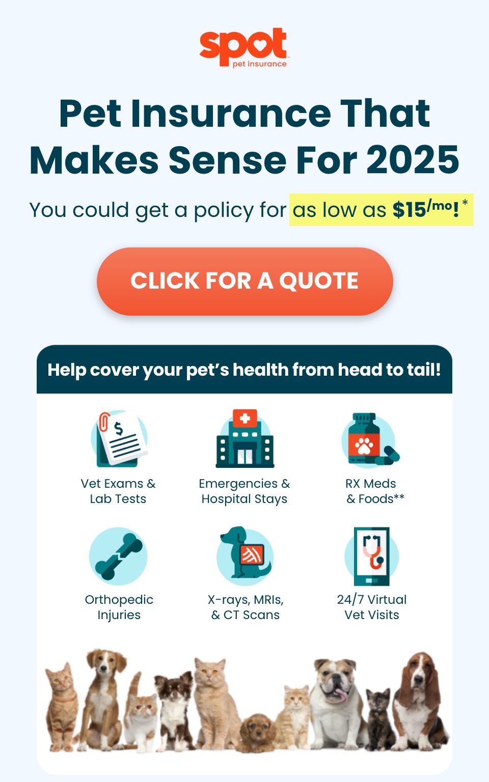 Click for a pet insurance quote