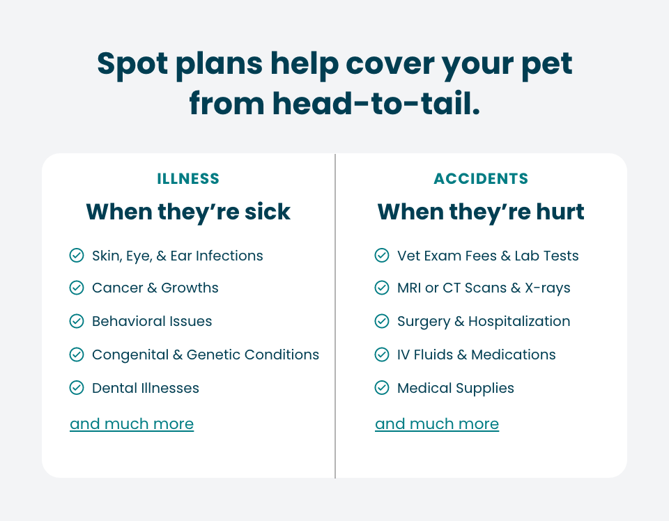 Spot plans help cover your pet from head to tail
